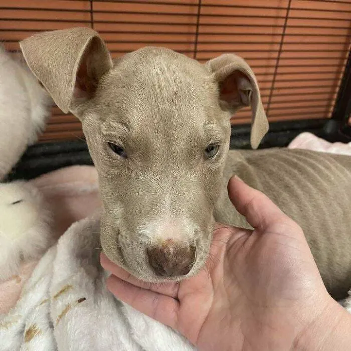 Struggle Was Real...until I Found My Furever Parents