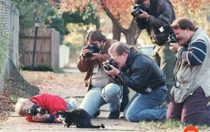 Paparazzi Take Pictures Of Bill Clinton's Cat Named Socks, 1992