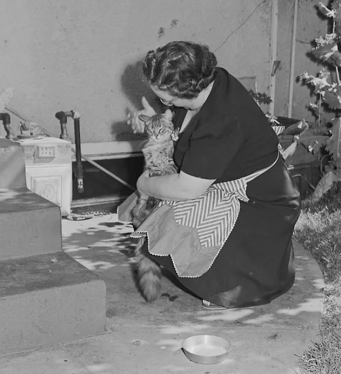 Housewife With Her Pet Cat, Turlock, California, 1942