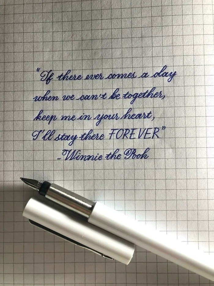 One Of My Favourite Quotes From Winnie The Pooh. Parker Vector Fountain Pen