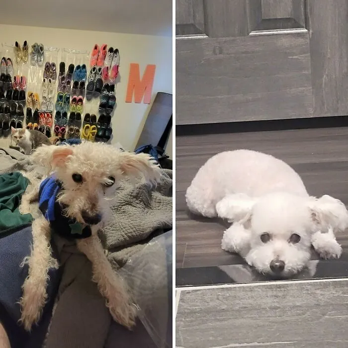 16-Year-Old Eggs Before And After A Little Love