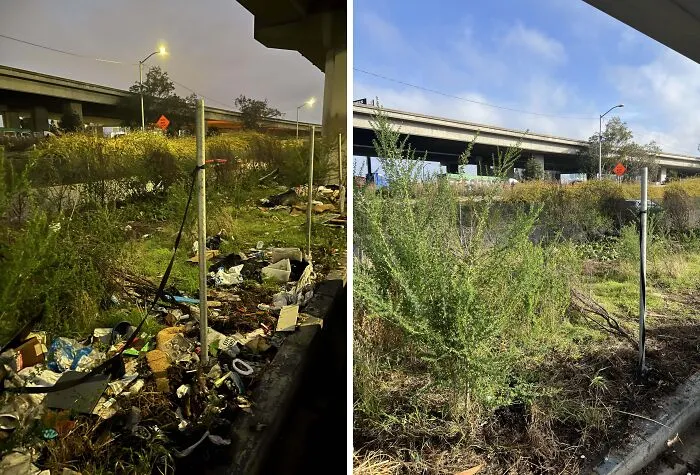 Before And Afters Of Volunteer Cleanups I Did By Myself To Show One Person Can Make A Huge Difference