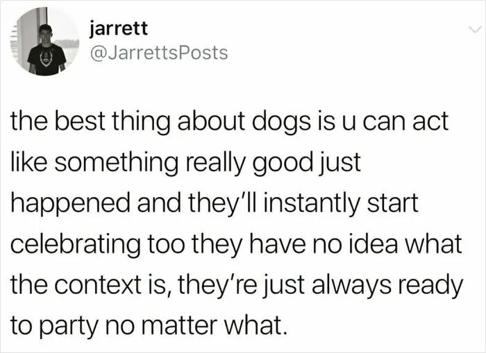 Tweet about dogs being delightful animals that always celebrate and are ready to party no matter what.