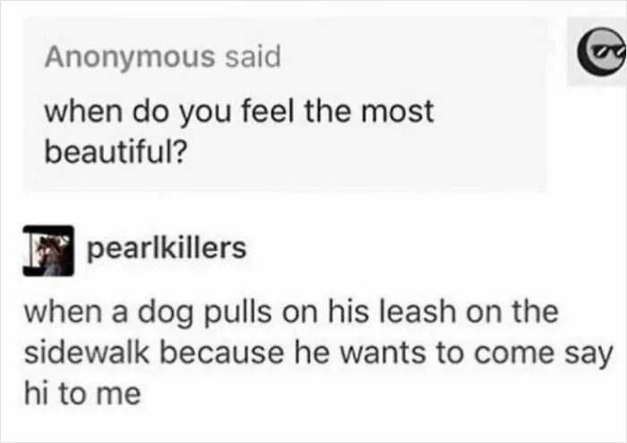 Text meme about delightful animals describing feeling beautiful when a dog pulls on his leash to say hi.