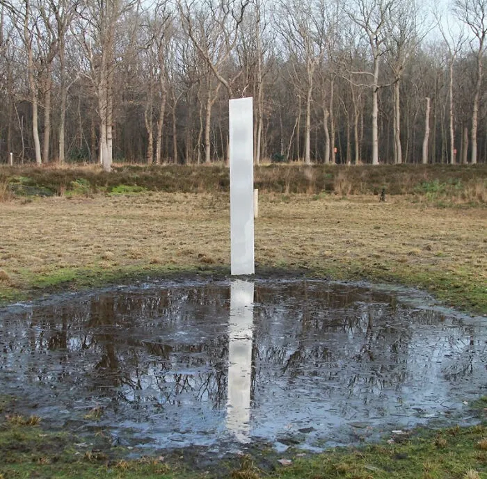 Shiny metal monolith in a field reflecting in a pool of water surrounded by leafless trees, a mystery baffling people.