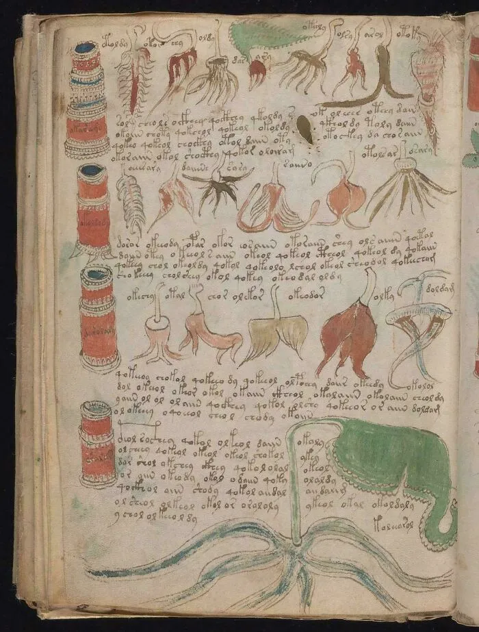 El Manuscrito Voynich: aún ilegible después de más de 600 años