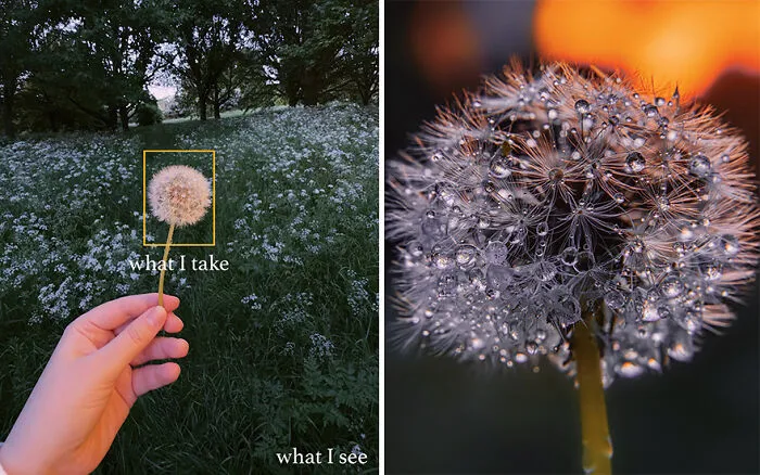 “What I See Vs. What I Take”: 16 Photos Revealing How This Photographer Captures The Perfect Shot