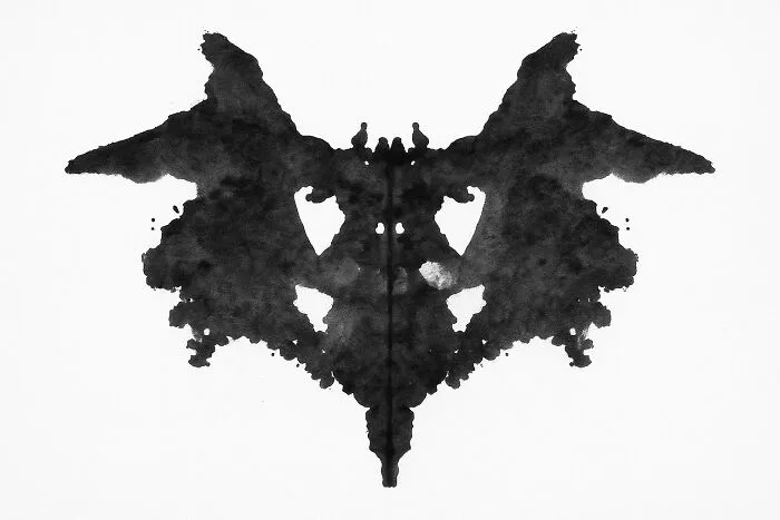 What Do You See?