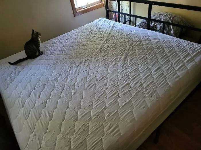 You Can Think Of A <a Style="Display:inline;" Href="Https://Www.amazon.com/Waterproof-Mattress-Protector-Breathable-Stretches/Dp/B08p2rysp6?ie=utf8&th=1&linkcode=ll1&tag=bplobster-20&linkid=c051ce2ce719e21faf2d41a1aa9ecc73&language=en_us&ref_=as_li_ss_tl" Target="_blank">    <span Style="Font: Inherit; Color: #d74b1f;"> Queen Mattress Protector </Span> As The Very Serious, Waterproof Security Detail For Your Most Expensive Nap-Time Investment