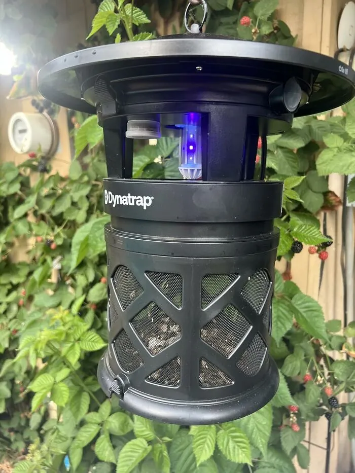 Tell Those Uninvited Buzzing Guests That Your Patio Party Is Exclusive With <a Style="Display:inline;" Href="Https://Www.amazon.com/Dynatrap-Dt2030sr-Mosquito-Flying-Outdoor/Dp/B0cq8tq99c?ie=utf8&th=1&linkcode=ll1&tag=bppelican-20&linkid=0f3e2227425d977590329a892f21403c&language=en_us&ref_=as_li_ss_tl" Target="_blank"> <span Style="Font: Inherit; Color: #d74b1f;"> Outdoor Fly Traps </Span>