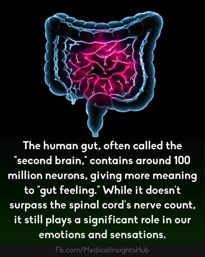 50 Cool And Interesting Medical Facts You Might Not Know About Your Own Body And Health