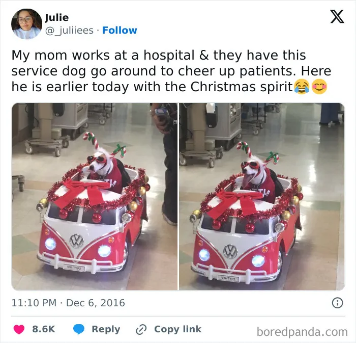 Service dog wearing festive accessories riding a decorated toy car in a hospital hallway, showcasing delightful animals.