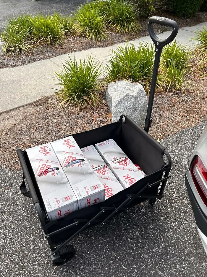 This <a Style="Display:inline;" Href="Https://Www.amazon.com/Uyittour-Collapsible-Foldable-Capacity-Lightweight/Dp/B0crr9zb5m?ie=utf8&th=1&linkcode=ll1&tag=bpeagle-20&linkid=1d6397aa245be22d9d287ea079c159ec&language=en_us&ref_=as_li_ss_tl" Target="_blank"><span Style="Font: Inherit; Color: #d74b1f;"> Collapsible Wagon </Span> With Its Herculean 220lb Capacity Is Ready To Haul Everything From Your Mulch Mountain To Your Overly Ambitious Plant Haul, Then Folds Away Like It Was Never Even There