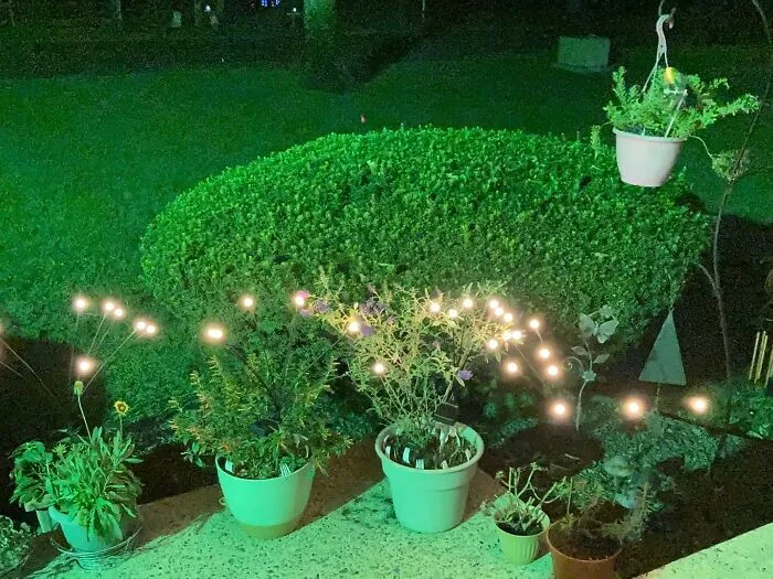 Give Your Garden The Glow-Up It Deserves, With <a Style="Display:inline;" Href="Https://Www.amazon.com/Tonulax-Solar-Garden-Lights-Decorative/Dp/B09yd4221p?ie=utf8&th=1&linkcode=ll1&tag=bphawk-20&linkid=4e24eecc96882d7326a2a621c52f0662&language=en_us&ref_=as_li_ss_tl" Target="_blank"><span Style="Font: Inherit; Color: #d74b1f;"> Swaying Solar Garden Lights </Span> That Dance Like Nobody's Watching, Except Maybe The Gnomes