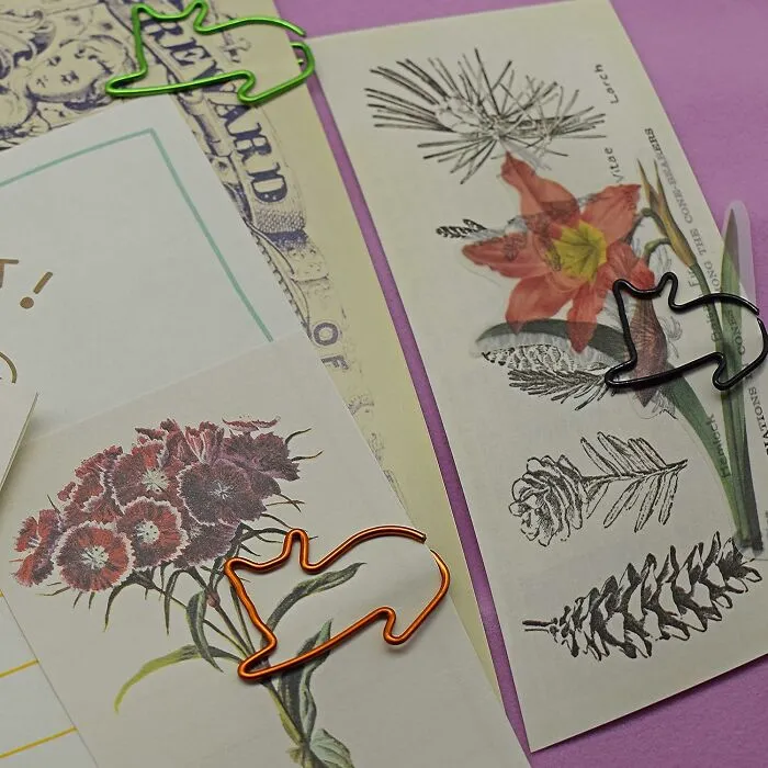 Your Most Boring Documents Are About To Get A Much-Needed Injection Of 'Aww' And A Subtle Hint Of Your True Cat-Person Identity Thanks To These <a Style="Display:inline;" Href="Https://Www.amazon.com/Hiqin-Shaped-Animal-Office-Supplies/Dp/B07cv8lxn6?dib=eyj2ijoimsj9.vnbz9b39px6lxvbrp3pn9gujz8zbpxypgngnqhodftr7qhcxgjmrbfkhntlhfq04udhgtqbvvyzade0e5eifheu8fzobolbqujae03vrx048yp6l4bo6yc1uxyc_cz14v9lrhmt0amummgy6f-Dslpxmiryu1o7-Wwrc_tol7soptulk-Bcvcg3mnxzjxctob2s02i9lbnla_-Nfahl2zvhrurqowufkxeyhhu_rmx0qwdqejcnvgvgofiv_fjz877q0d92vjnqbv0od-Vvgqsv3m9do5oq-Nkrkqsznips.pkuotin33th9as_axpbs9j_brdqmvcrurkxqom_x3qo&dib_tag=se&keywords=funny%2boffice%2bsupplies&qid=1749795907&sr=8-32&th=1&linkcode=ll1&tag=bpant-20&linkid=a20eb3c521479ce90397d07d4d0e7b97&language=en_us&ref_=as_li_ss_tl" Target="_blank"><span Style="Font: Inherit; Color: #d74b1f;"> Cat Paperclips</Span>