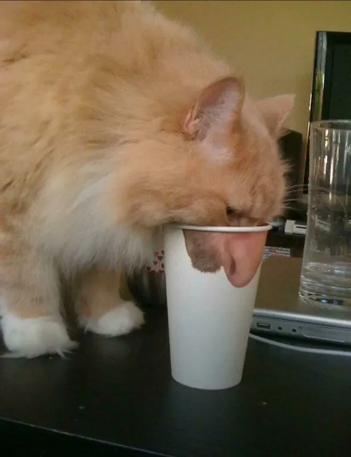 Blursed Nose