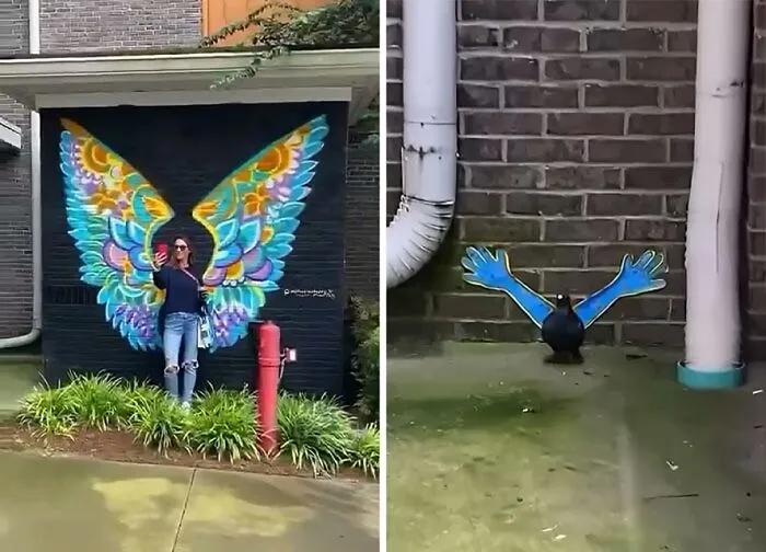 El pájaro te robó el protagonismo