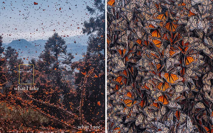 “What I See Vs. What I Take”: 16 Photos Revealing How This Photographer Captures The Perfect Shot