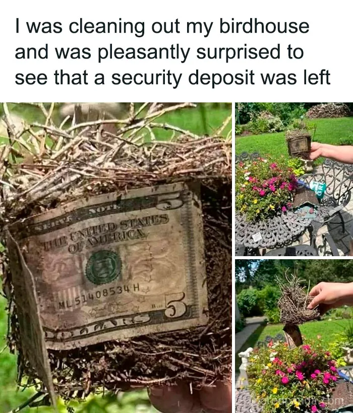 3.6M People Follow This FB Page For Its Funny Memes And These 50 Are Hilariously Weird (New Pics)