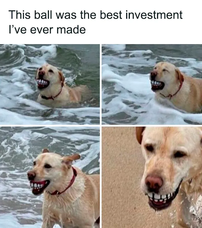 50 Sarcastic Memes That Couldn’t Care Less (New Pics)