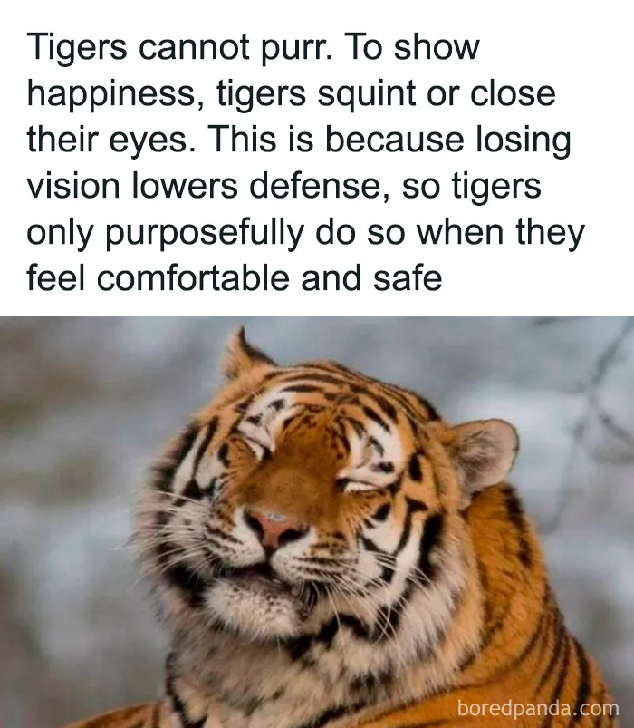 50 Interesting Pics To Make Your Day Better Or Teach You Something New