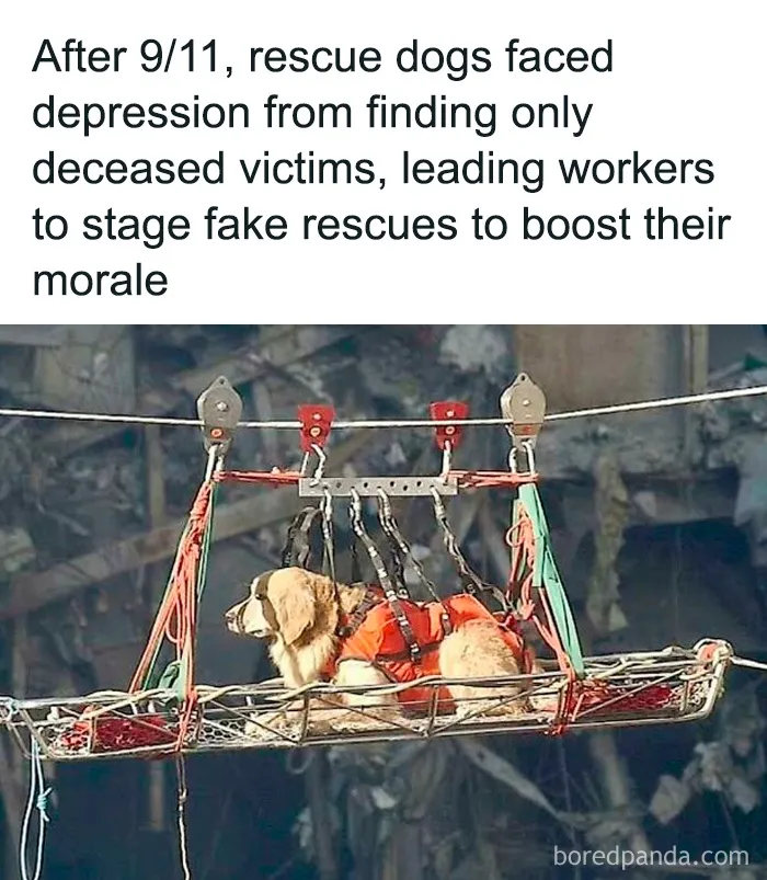 50 Interesting Pics To Make Your Day Better Or Teach You Something New