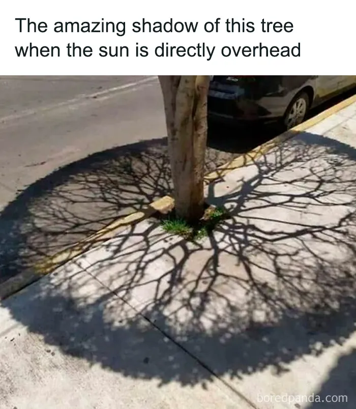 50 Interesting Pics To Make Your Day Better Or Teach You Something New