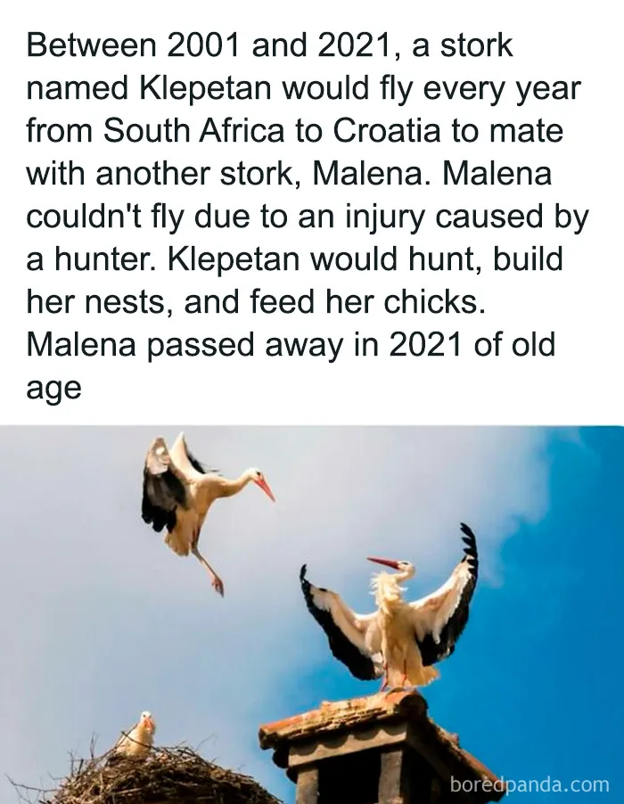 50 Interesting Pics To Make Your Day Better Or Teach You Something New