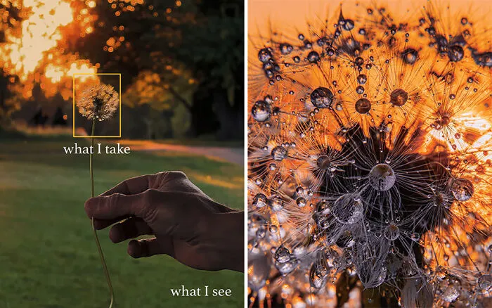 “What I See Vs. What I Take”: 16 Photos Revealing How This Photographer Captures The Perfect Shot