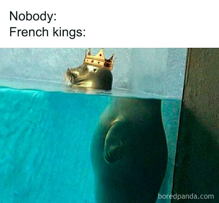 Seal wearing a crown poking its head above water, humorously representing French kings in history memes.