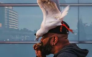 46 Candid Street Photos By Alex McClintock That Tell Stories Without Words