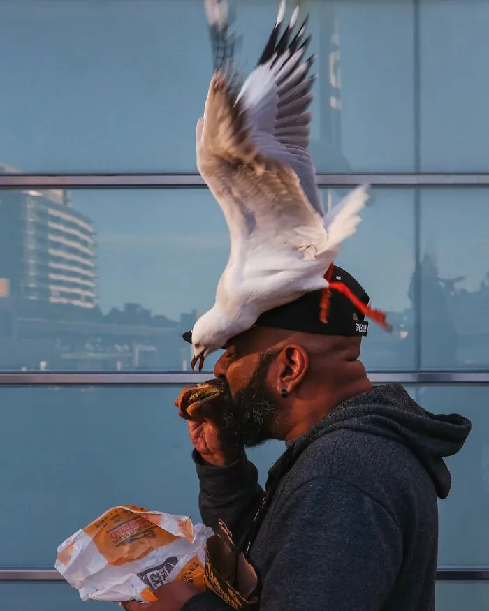 48 Candid Street Photos By Alex McClintock That Tell Stories Without Words