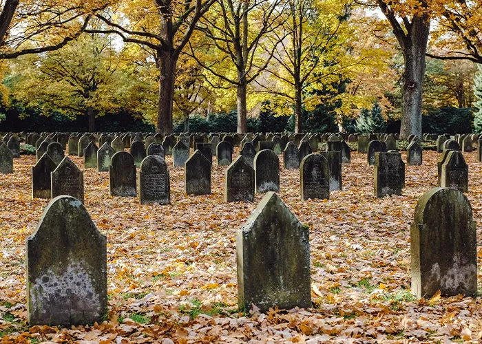 Facts You Probably Wish You Didn’t Know: 40 Disturbing Truths Shared Online