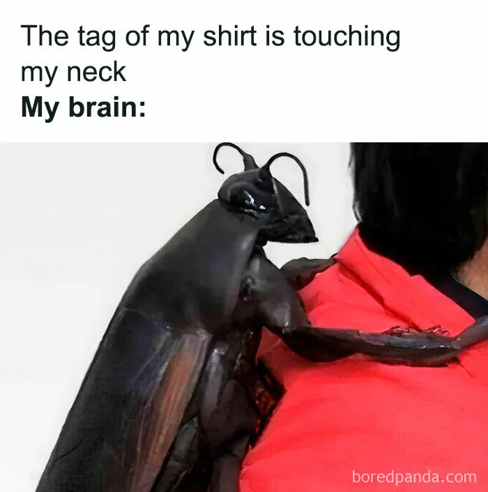 50 Hilarious Memes That Might Make You Snort-laugh In Public (New Pics)