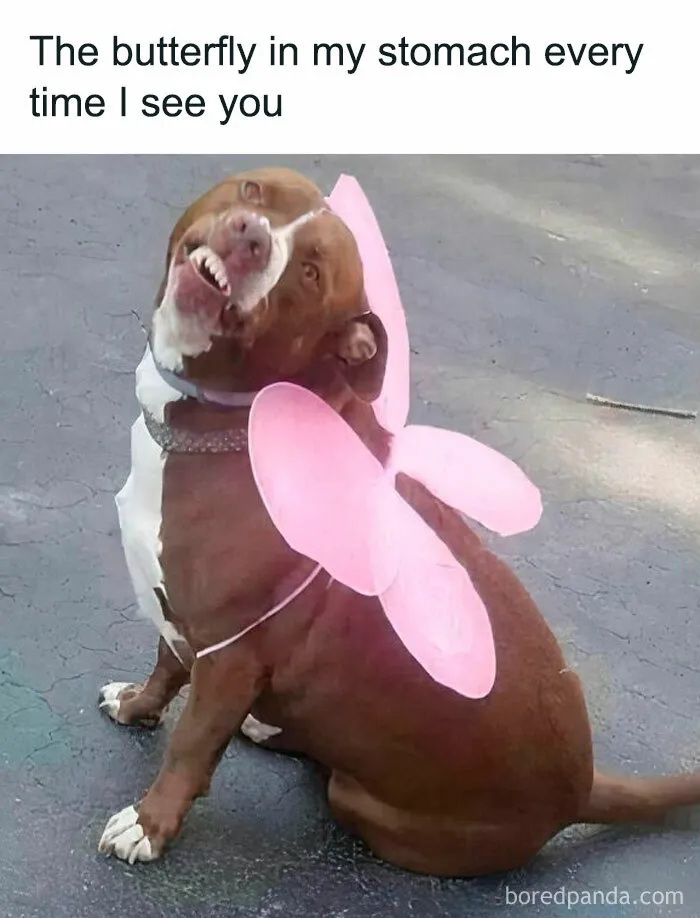 50 Hilarious Memes That Might Make You Snort-laugh In Public (New Pics)