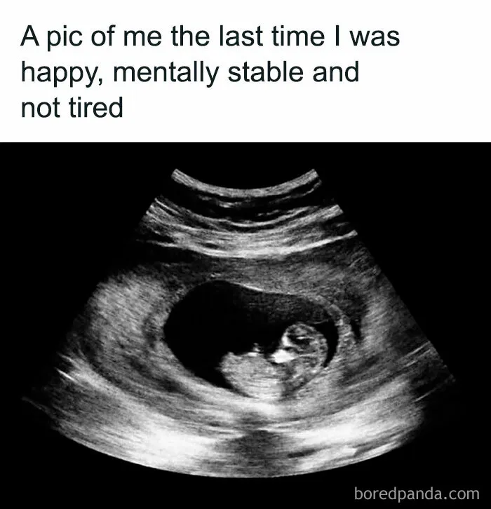 50 Hilarious Memes That Might Make You Snort-laugh In Public (New Pics)