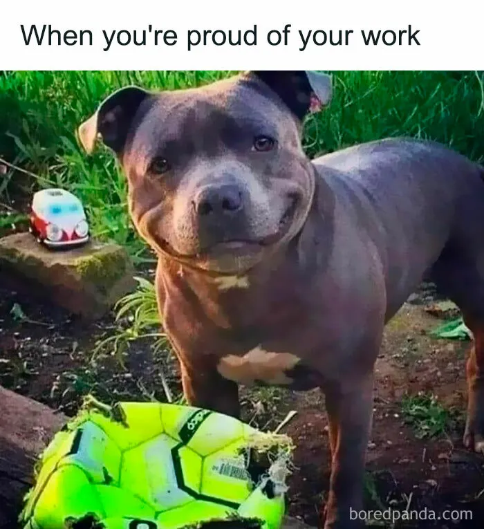 50 Hilarious Memes That Might Make You Snort-laugh In Public (New Pics)