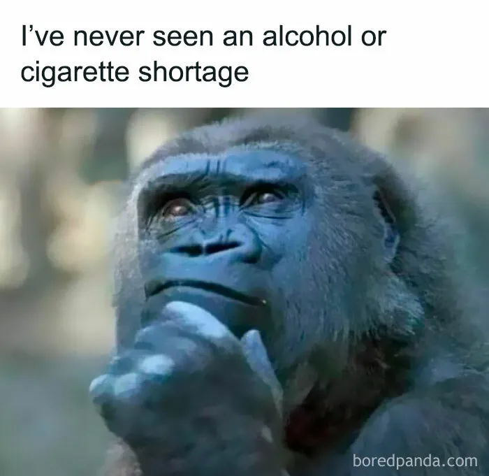 50 Hilarious Memes That Might Make You Snort-laugh In Public (New Pics)