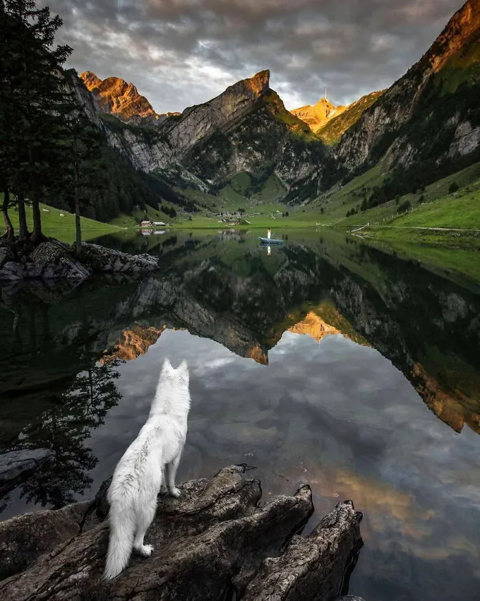 50 Amazing Shots That Show How Stunning The World Really Is, Captured By Our Community