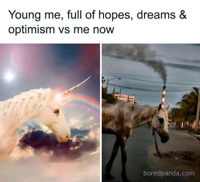 3.6M People Follow This FB Page For Its Funny Memes And These 50 Are Hilariously Weird (New Pics)
