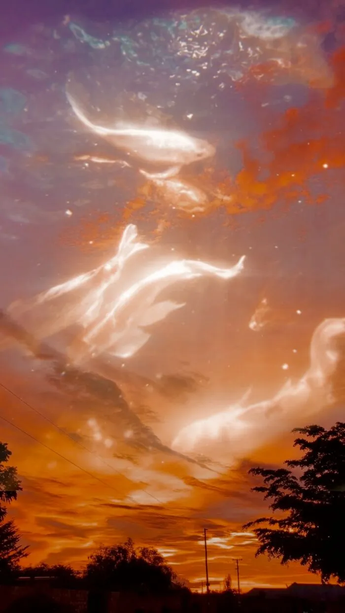 The Sunset Clouds