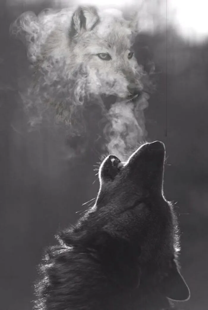 The Wolves Call