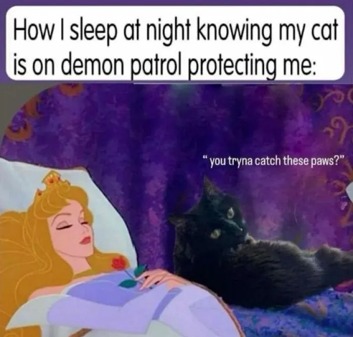 Sleeping woman with a black cat on demon patrol, funny meme to help forget a hard day with humor.
