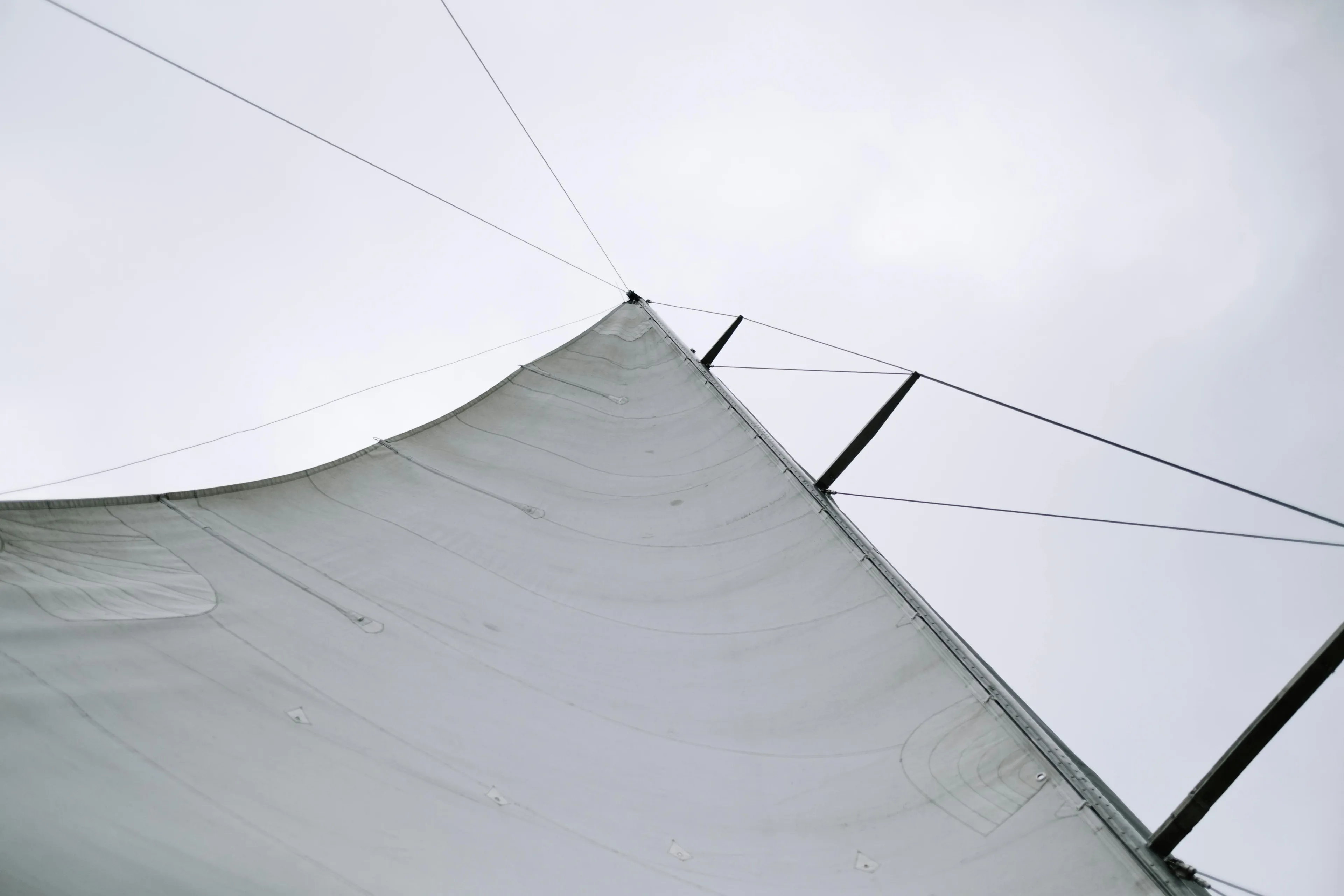 The Art Of Lines