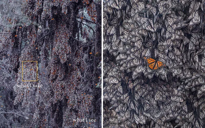 “What I See Vs. What I Take”: 16 Photos Revealing How This Photographer Captures The Perfect Shot