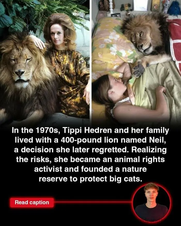Tippi Hedren living with a 400-pound lion reflects fascinating fun facts to satisfy your curious mind about the world.