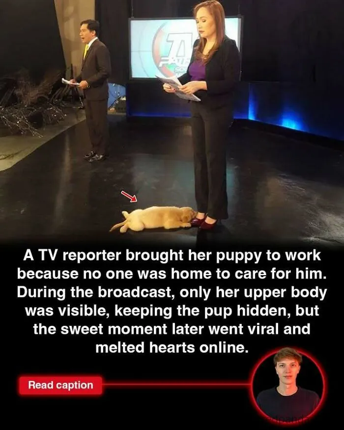 50 Stories To Keep You Up To Date With The Interesting Things That Are Happening In The World