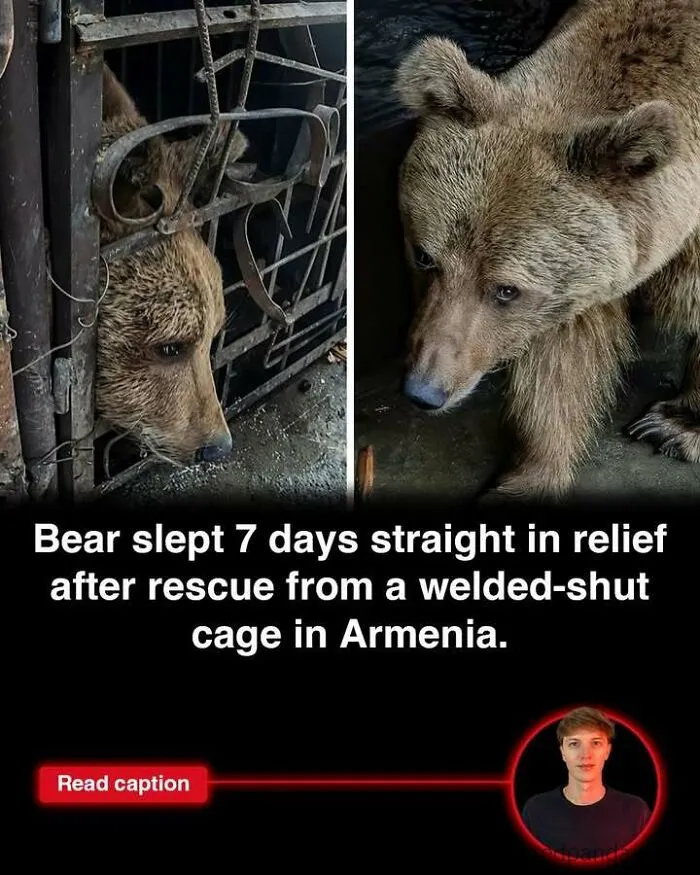 50 Stories To Keep You Up To Date With The Interesting Things That Are Happening In The World