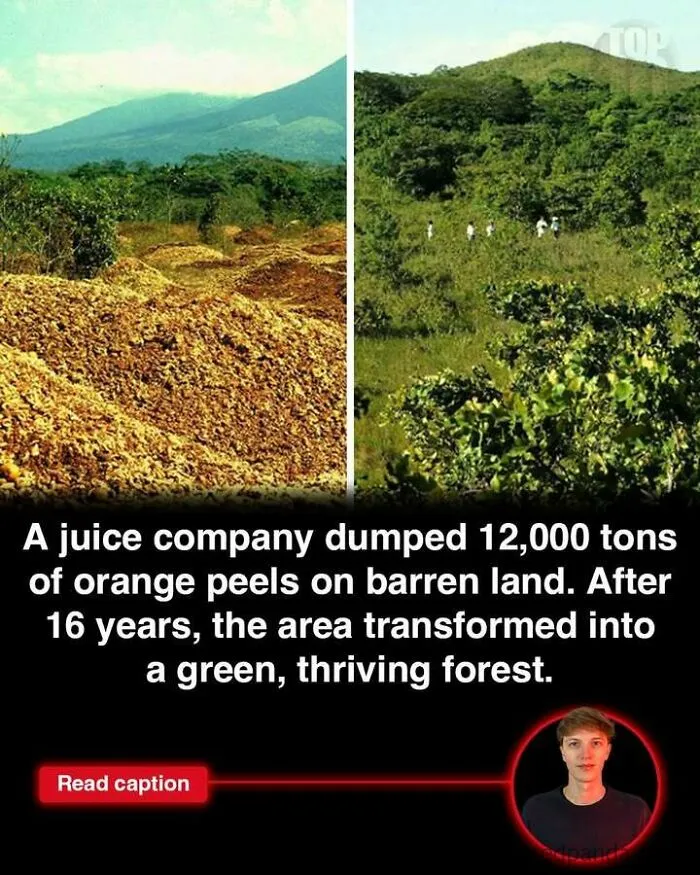Side-by-side images showing land transformed from barren to green forest, illustrating a fun fact about nature recovery.