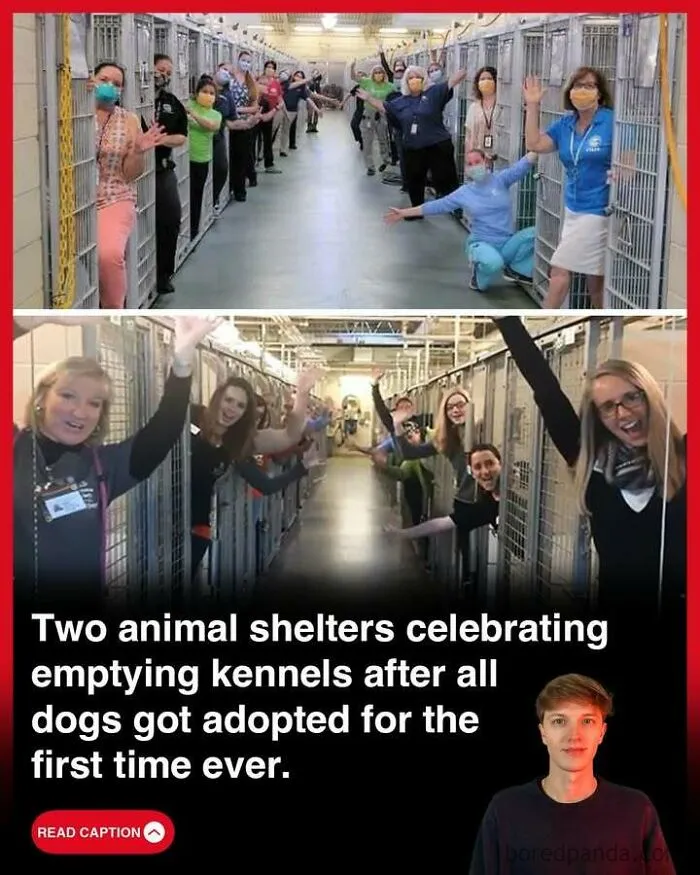 50 Stories To Keep You Up To Date With The Interesting Things That Are Happening In The World